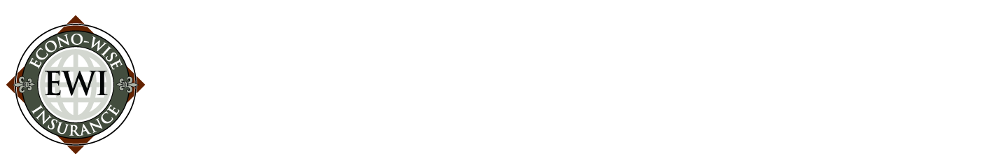 Econo-Wise Insurance